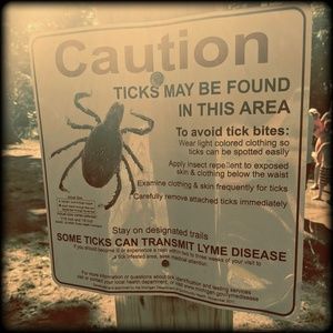 💚Fighting Lyme Disease💚